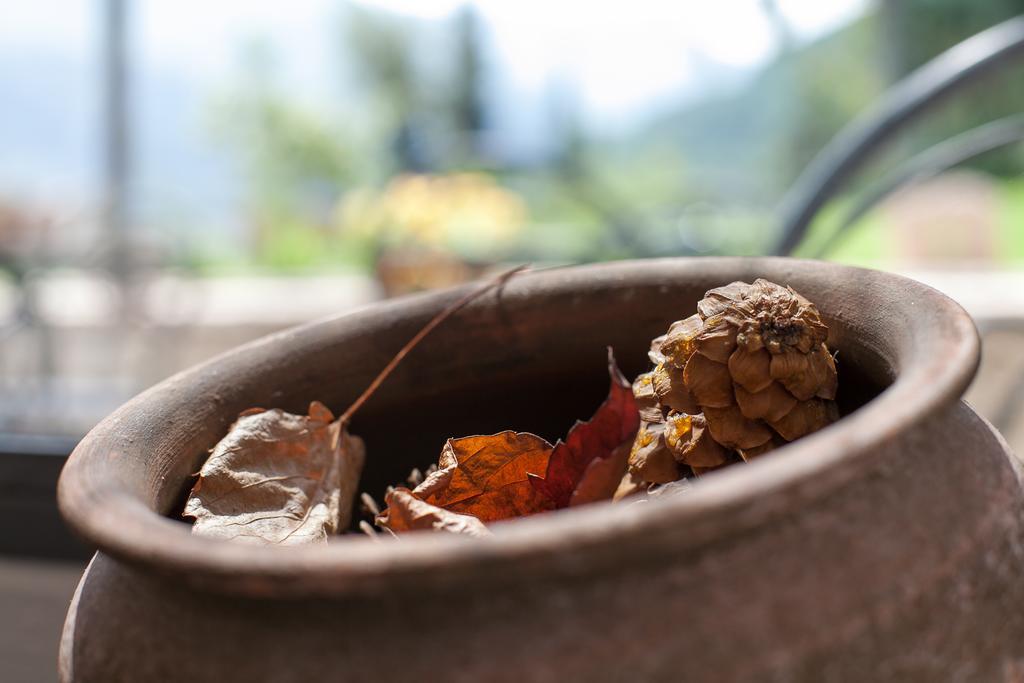 Agriturismo Maso Lizzone Dro Ngoại thất bức ảnh
