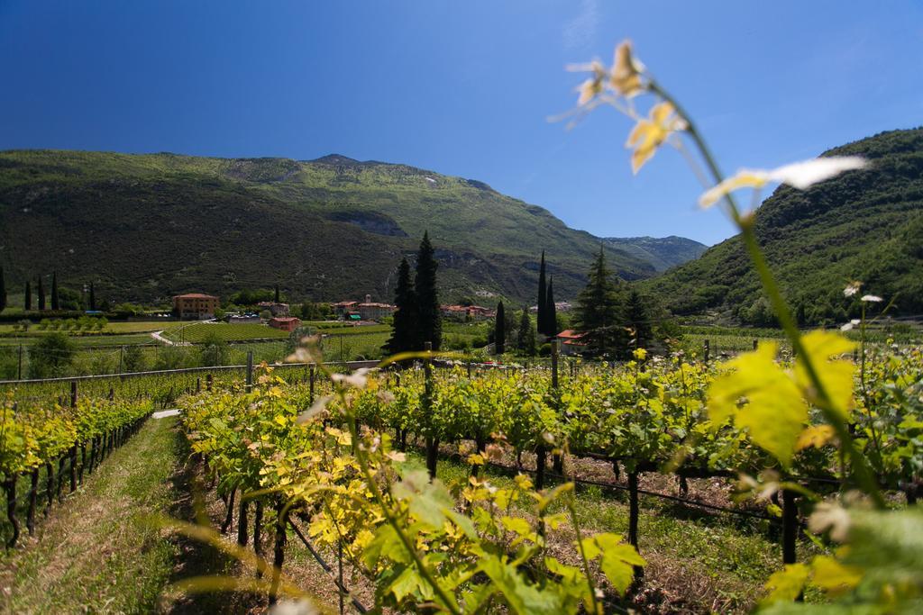 Agriturismo Maso Lizzone Dro Ngoại thất bức ảnh