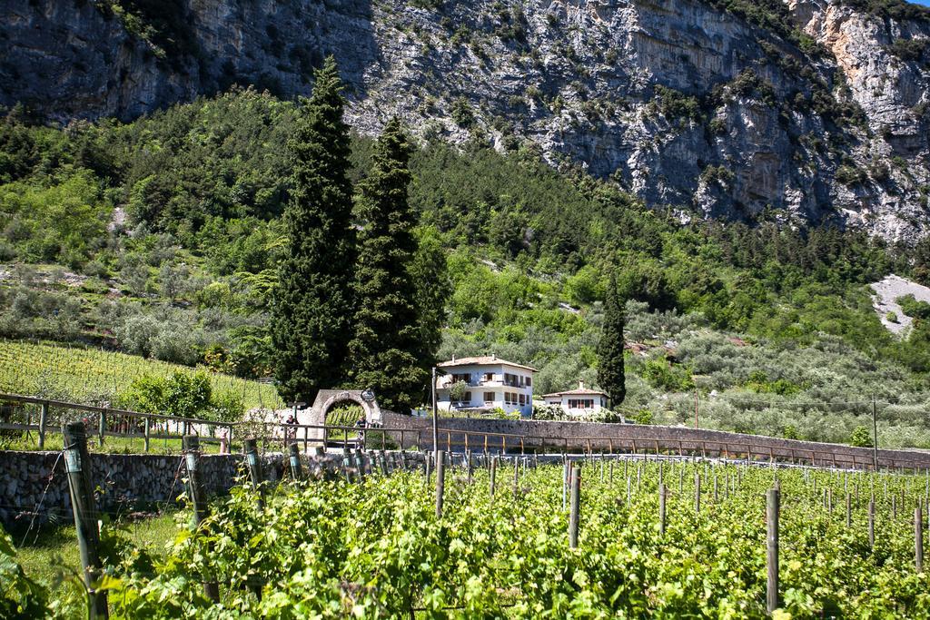 Agriturismo Maso Lizzone Dro Ngoại thất bức ảnh
